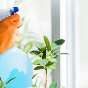 432924-PE8C6I-858-1600x900